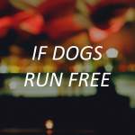 <a href="http://www.ifdogsrunfree.com/" target="_blank"><span style="font-size: 15px; color: #ffffff;">If Dogs Run Free</a>